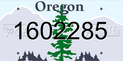 1602285 Oregon License Plate