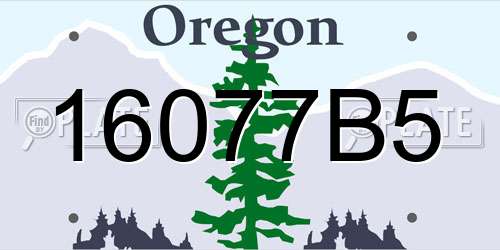 16077B5 Oregon License Plate