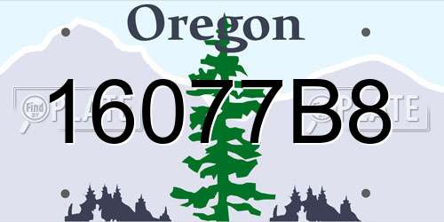 16077B8 Oregon License Plate