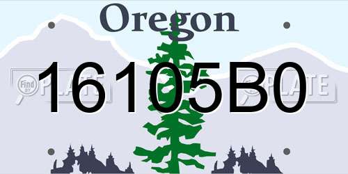 16105B0 Oregon License Plate