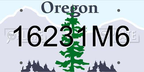 16231M6 Oregon License Plate