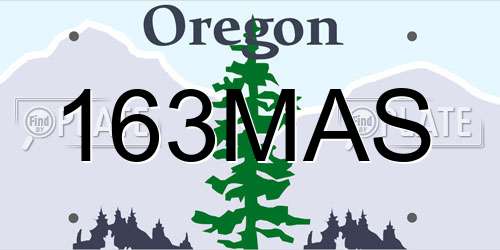 163MAS Oregon License Plate
