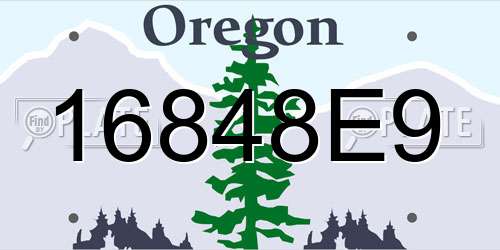 16848E9 Oregon License Plate