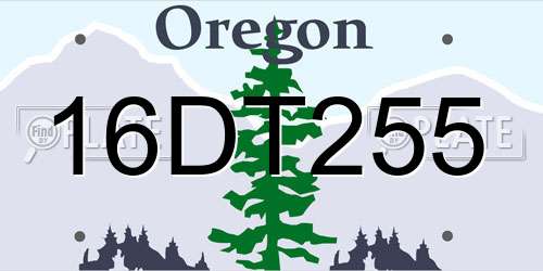 16DT255 Oregon License Plate