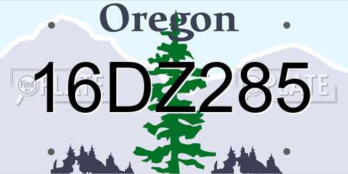 16DZ285 Oregon License Plate