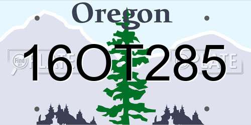 16OT285 Oregon License Plate