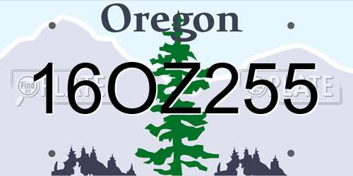 16OZ255 Oregon License Plate