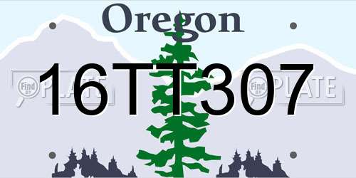 16TT307 Oregon License Plate