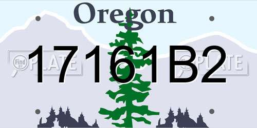 17161B2 Oregon License Plate