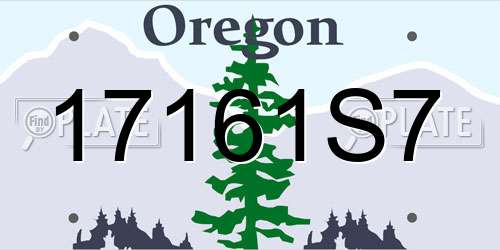17161S7 Oregon License Plate
