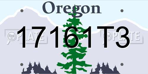 17161T3 Oregon License Plate