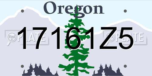 17161Z5 Oregon License Plate