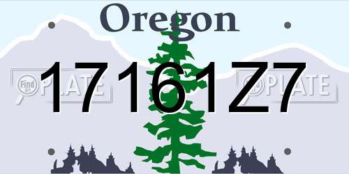 17161Z7 Oregon License Plate