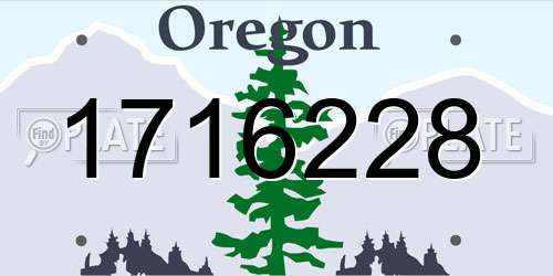 1716228 Oregon License Plate