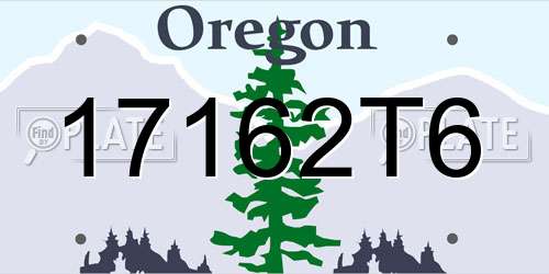 17162T6 Oregon License Plate