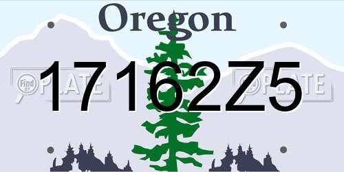 17162Z5 Oregon License Plate