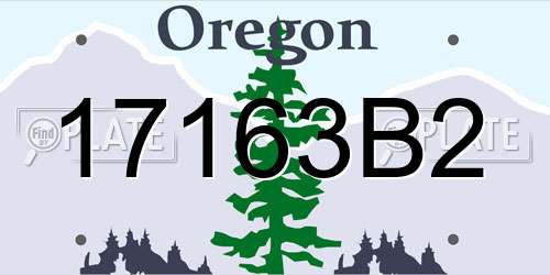 17163B2 Oregon License Plate