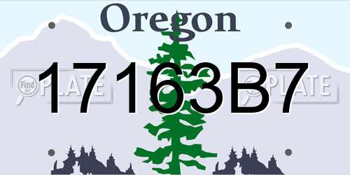 17163B7 Oregon License Plate