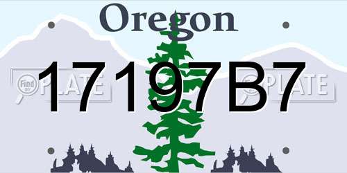 17197B7 Oregon License Plate