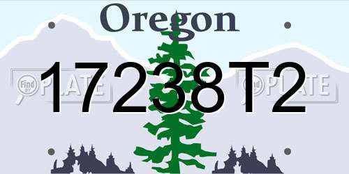 17238T2 Oregon License Plate