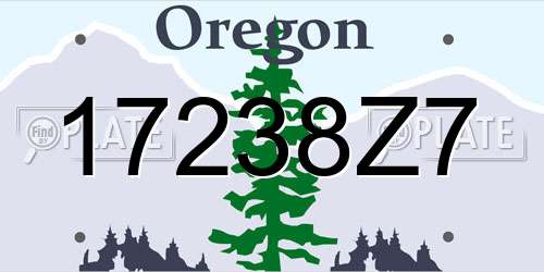 17238Z7 Oregon License Plate