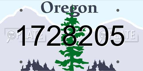 1728205 Oregon License Plate
