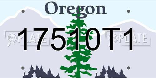 17510T1 Oregon License Plate