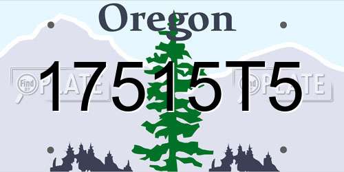 17515T5 Oregon License Plate