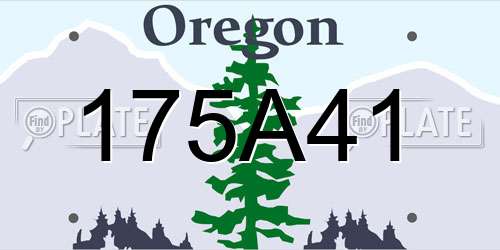 175A41 Oregon License Plate