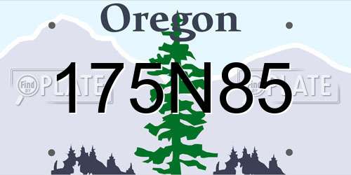175N85 Oregon License Plate