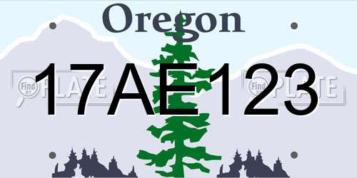 17AE123 Oregon License Plate