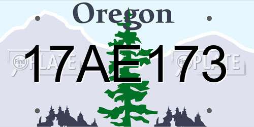 17AE173 Oregon License Plate