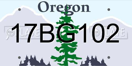 17BG102 Oregon License Plate