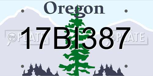 17BI387 Oregon License Plate