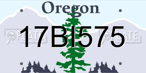 17BI575 Oregon License Plate