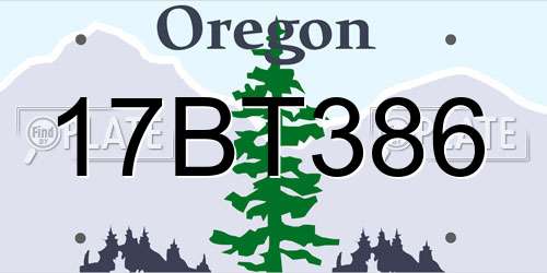 17BT386 Oregon License Plate