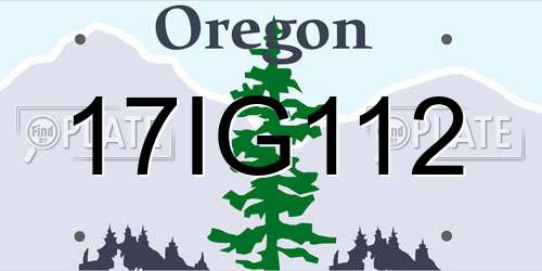 17IG112 Oregon License Plate