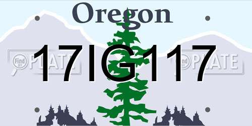 17IG117 Oregon License Plate