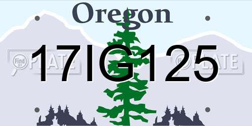 17IG125 Oregon License Plate