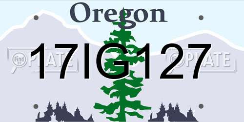17IG127 Oregon License Plate