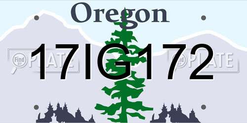 17IG172 Oregon License Plate