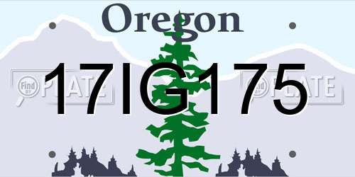 17IG175 Oregon License Plate