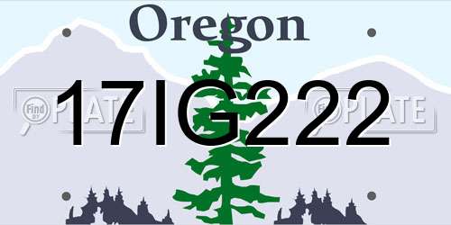 17IG222 Oregon License Plate