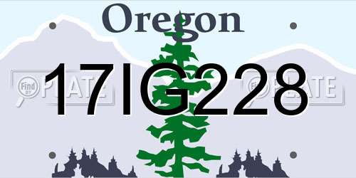 17IG228 Oregon License Plate