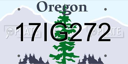 17IG272 Oregon License Plate