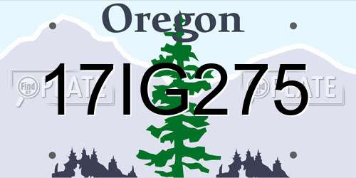 17IG275 Oregon License Plate