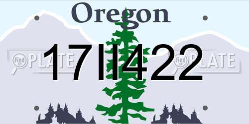 17II422 Oregon License Plate