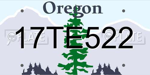 17TE522 Oregon License Plate