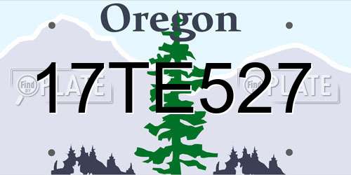 17TE527 Oregon License Plate