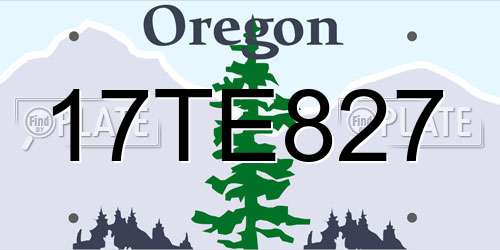 17TE827 Oregon License Plate